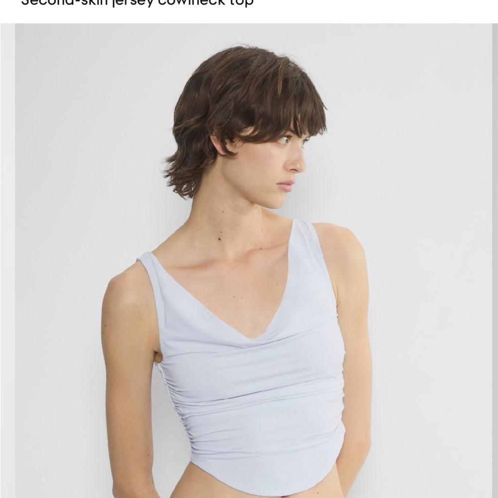 Aritzia Wilfred blue top